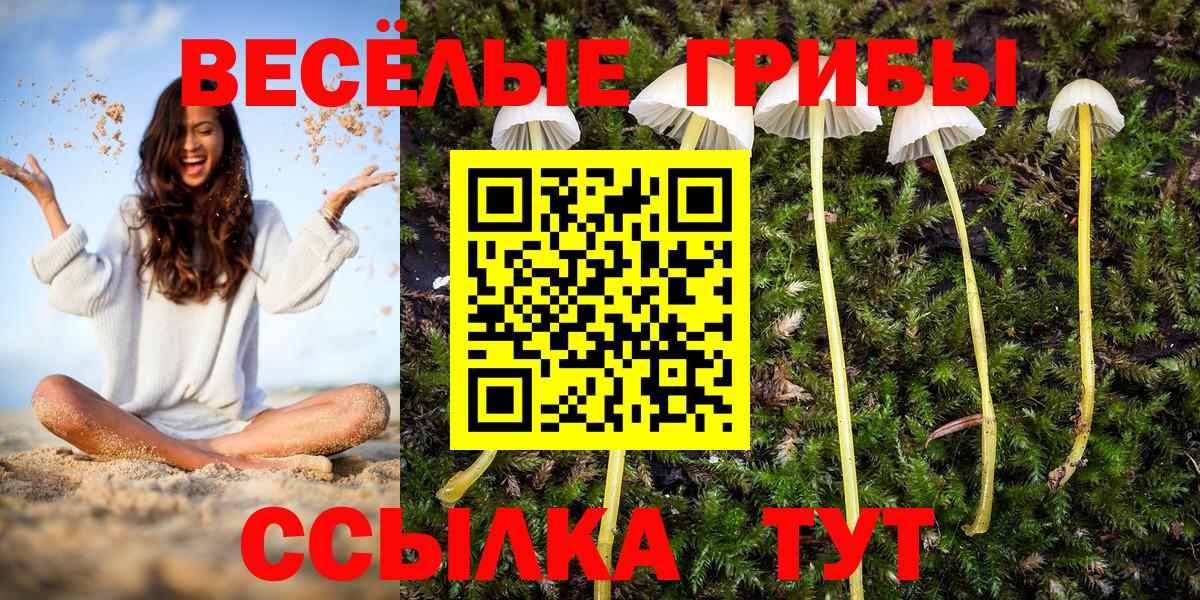 цены наркотик  Галлюциногенные грибы прущие грибы  Тулун  Вход с VPN  Псилоцибиновые грибы Magic Shrooms 