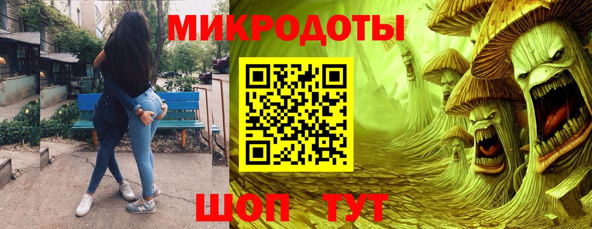 Галлюциногенные грибы Psilocybe Тулун